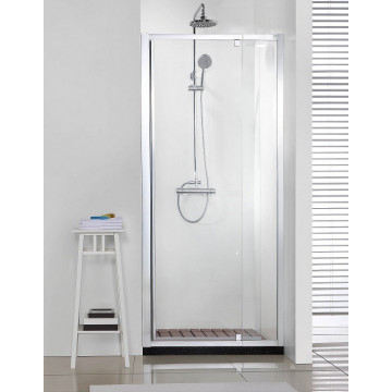 Душевая дверь в нишу Bravat Line BD100.4112A