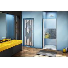 Душевая дверь Good Door Fantasy DR-100