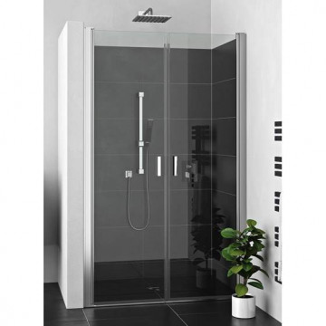 Душевая дверь Roltechnik Lega Lift 230-1000000-00-02 хром