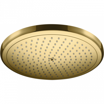 Верхний душ Hansgrohe Croma 26220990 золото
