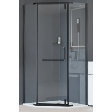 Душевой уголок RGW Hotel HO-081-B 350608191-14 90х100 черный/прозрачное