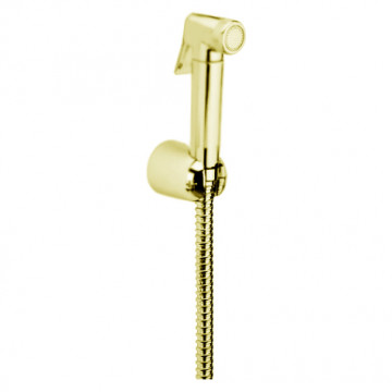 Душевой гарнитур Webert Comfort AM0433010, золото